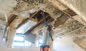 Best Post-Construction Mold Inspection  in USA